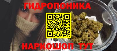 гидропоника Ипатово