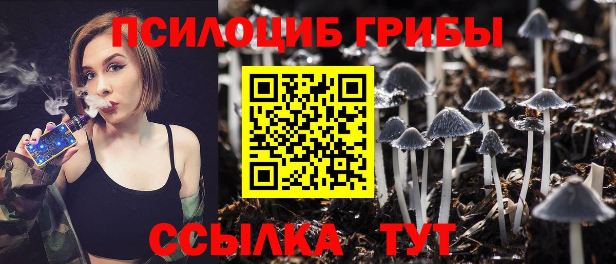 Псилоцибиновые грибы мицелий  Вход с VPN  Лесной  Псилоцибиновые грибы Psilocybine cubensis 