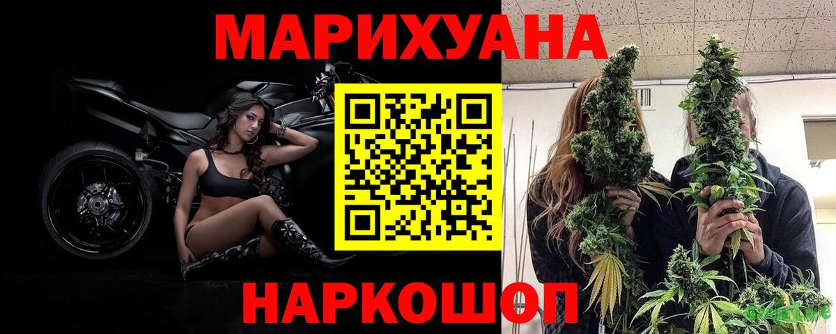 Бошки Шишки OG Kush  Марихуана план  Марихуана Ganja  Вход с VPN  Лесной  Конопля индика 